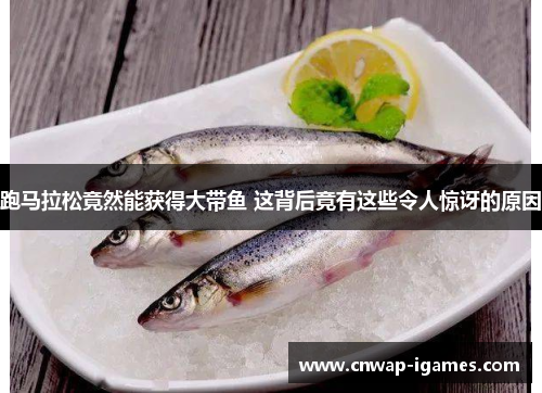 跑马拉松竟然能获得大带鱼 这背后竟有这些令人惊讶的原因