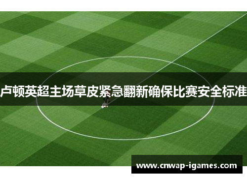 卢顿英超主场草皮紧急翻新确保比赛安全标准