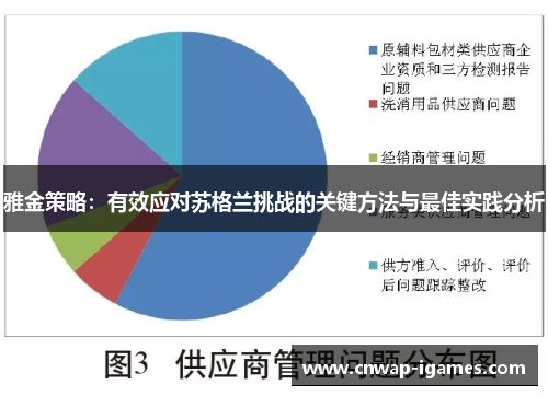 雅金策略:有效应对苏格兰挑战的关键方法与最佳实践分析 雅金策略:有效应对苏格兰挑战的关键方法与最佳实践分析