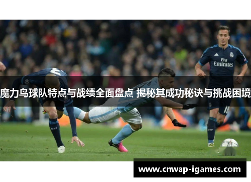 魔力鸟球队特点与战绩全面盘点 揭秘其成功秘诀与挑战困境