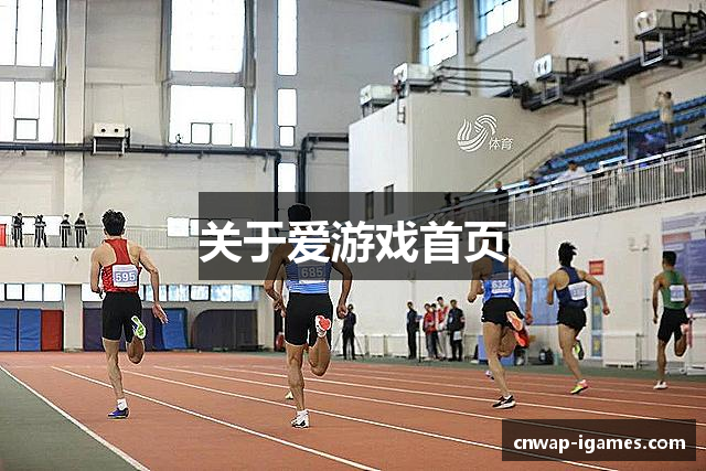 关于爱游戏首页